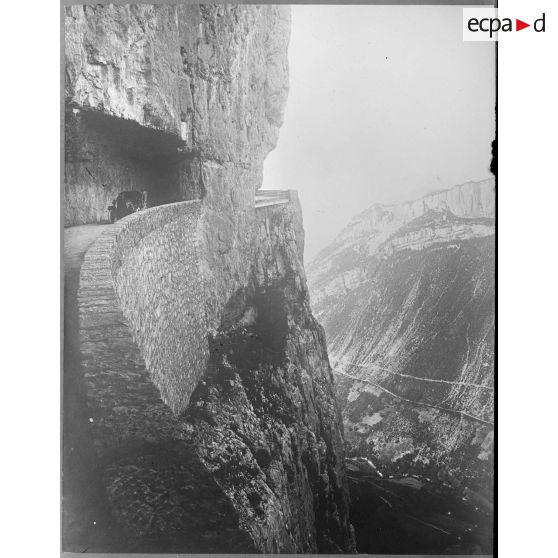 Contretype. [légende d'origine]