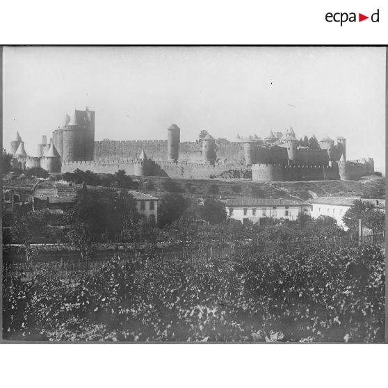 Contretype. [légende d'origine]