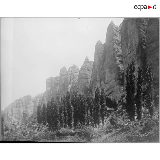 Contretypes. [légende d'origine]