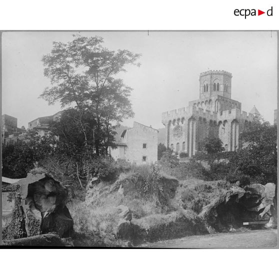 Contretypes. [légende d'origine]