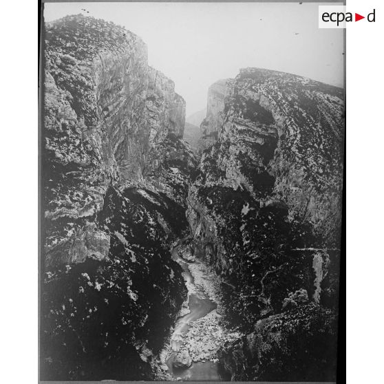 Contretypes. [légende d'origine]