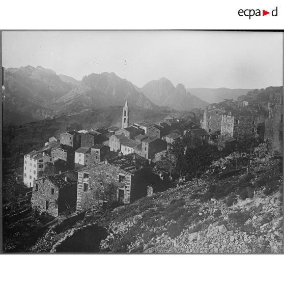 Contretypes. [légende d'origine]