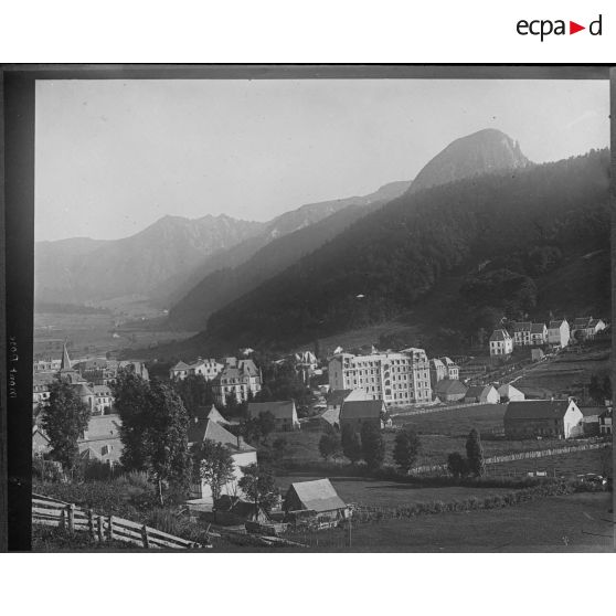 Contretypes. [légende d'origine]