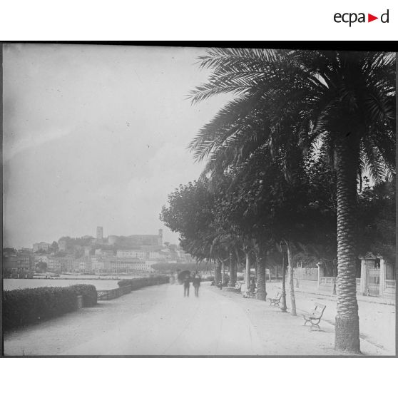 Contretypes. [légende d'origine]