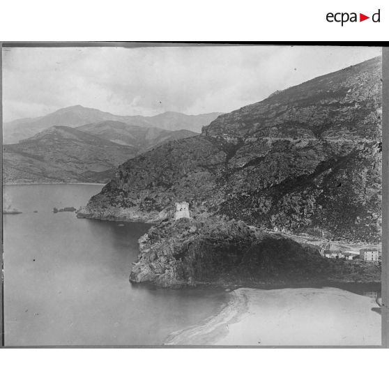 Contretypes. [légende d'origine]