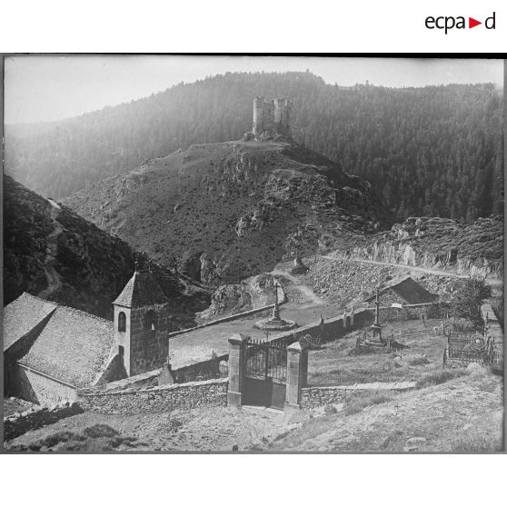 Contretypes. [légende d'origine]