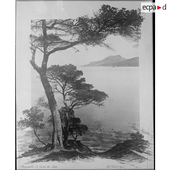 Contretypes. [légende d'origine]