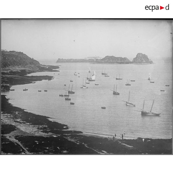 Contretypes. [légende d'origine]