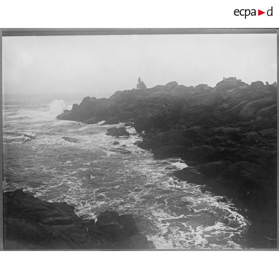 Contretypes. [légende d'origine]