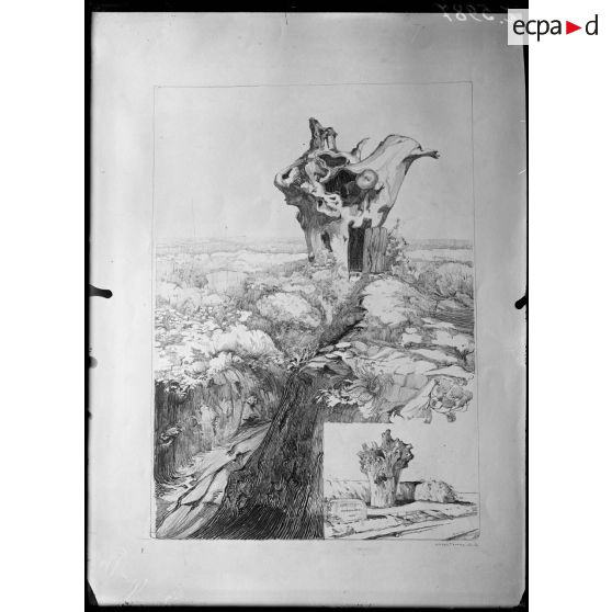 Paris, 35 rue de Valois. Dessins de M. Ventre. Bitry (Oise). L'arbre observatoire. [légende d'origine]