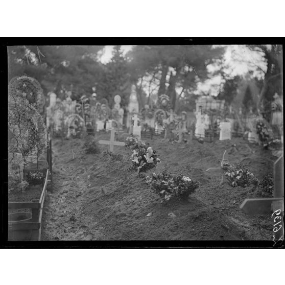 Avignon. Au cimetière. Tombes de militaires bulgares. Tombe de Sterdfin Tako. [légende d'origine]