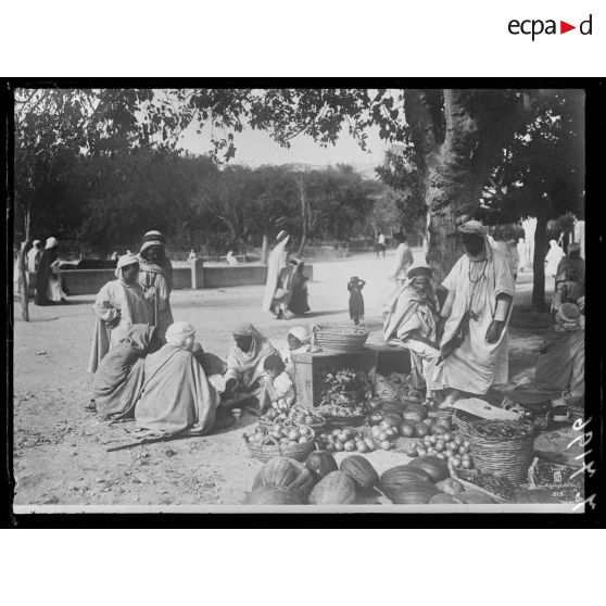 Documents d'archives. [légende d'origine]