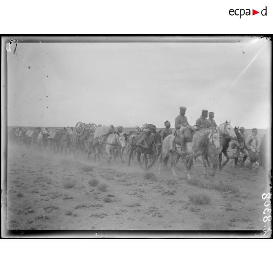 Maroc oriental. Talsinnt. Fantasia. [légende d'origine]
