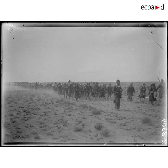 Maroc oriental. Talsinnt. Fantasia. [légende d'origine]