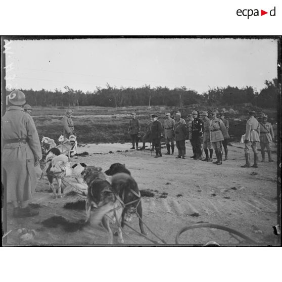 Au Tanet, visite du roi d'Italie. Le roi examine les chiens d'Alaska. [légende d'origine]
