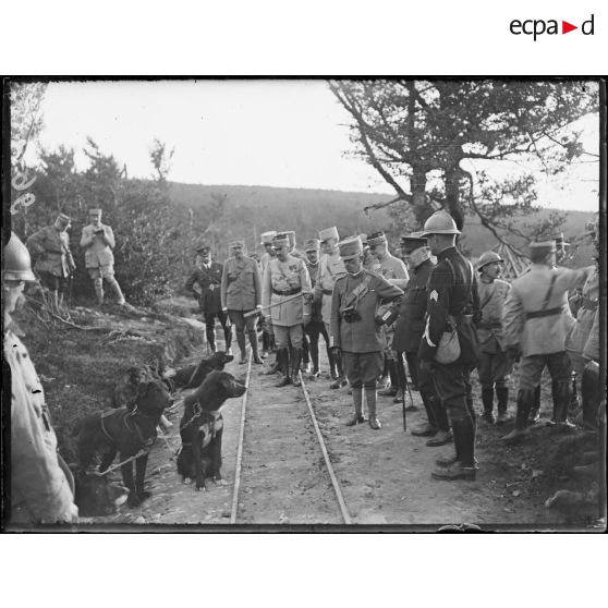 Au Tanet, visite du roi d'Italie. Le roi examine les chiens d'Alaska. [légende d'origine]