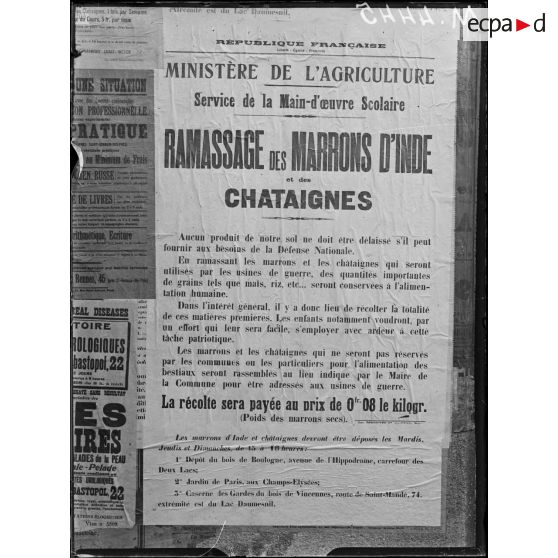 Paris, affiche concernant le ramassage des marrons d'Inde et de châtaignes. [légende d'origine]