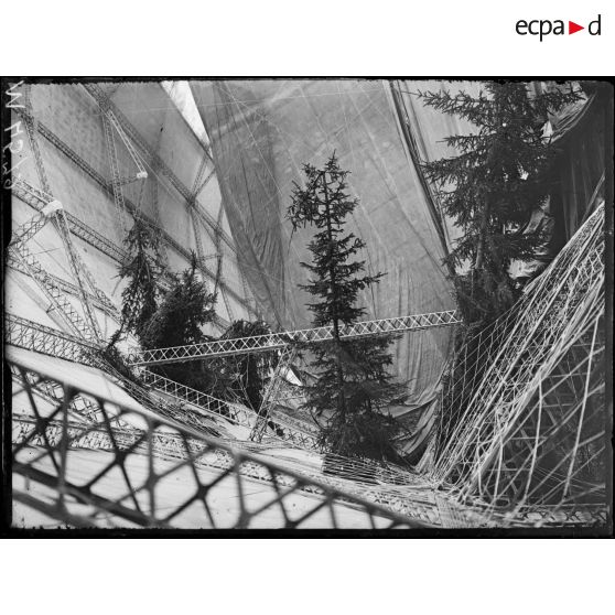 Bourbonne-les-Bains, le zepellin L49. Des sapins sur lesquels le zepellin est venu s'échouer, qui ont percé l'enveloppe de toile et sont apparus à l'intérieur de l'enveloppe. [légende d'origine]