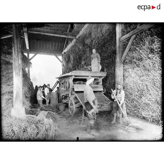 Boutigny (Eure et Loir). Ferme de Cloche. Tunisiens à la batteuse (Mai 1917). [légende d'origine]