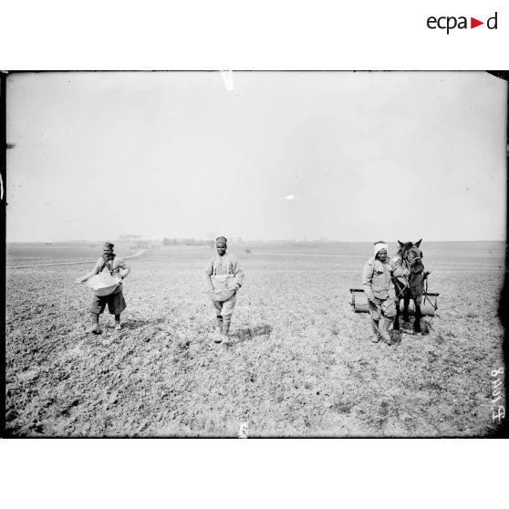 Boutigny (Eure et Loir). Ferme de Cloche. Tunisiens semant l'engrais sur les champs de blé de printemps. [légende d'origine]