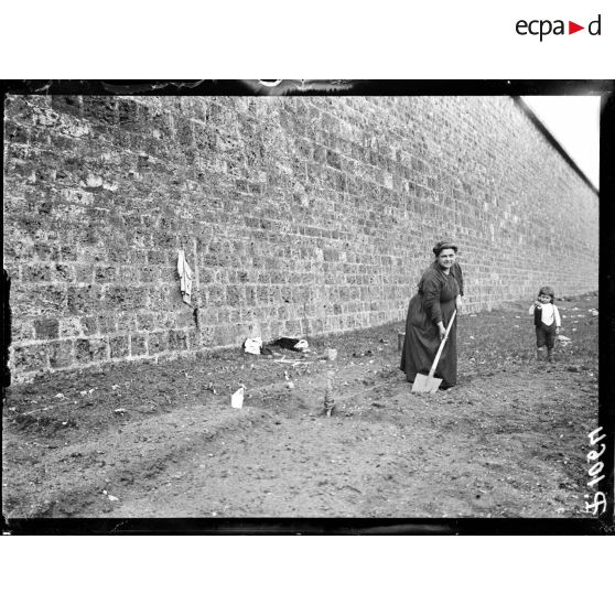 Paris. Les jardins potagers des fortifications. Petits pois et salades. [légende d'origine]