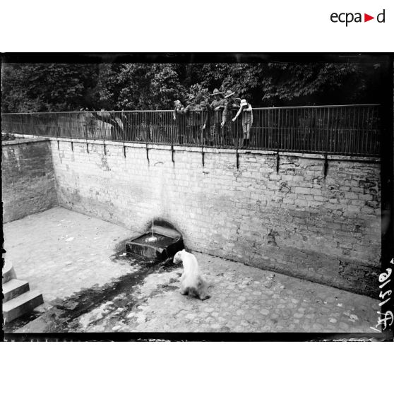 Paris, Jardin des Plantes, soldats américains. [légende d'origine]