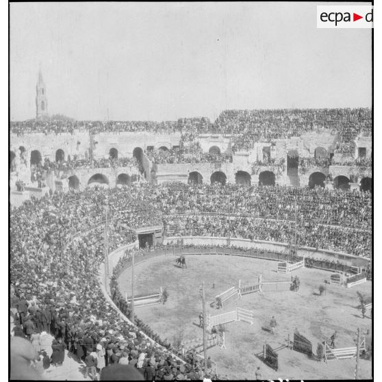 Les officiers concurrents du concours hippique et leurs montures.