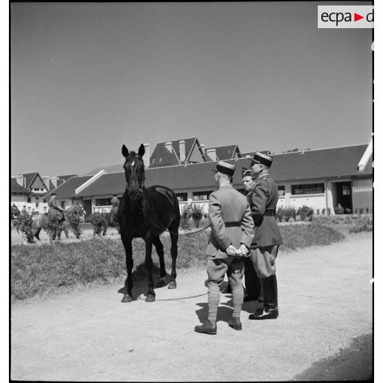 Présentation d'une jument au 6e escadron de la 1re légion de la Garde.
