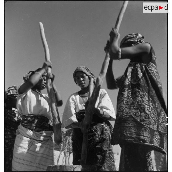 Pilage d'arachides dans un village du Niger.
