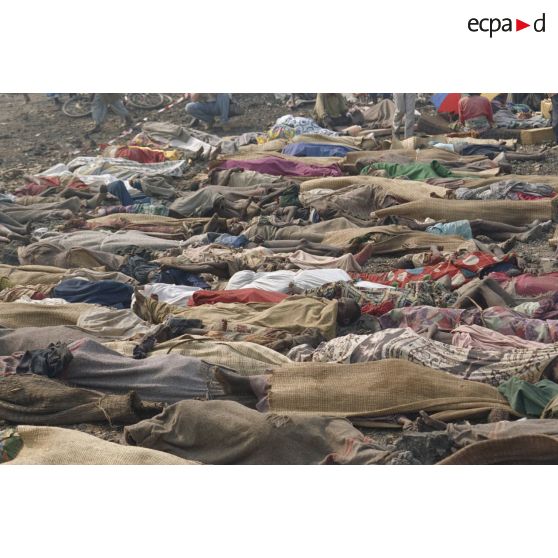 Cadavres alignés sur la route de Goma avant leur ramassage.