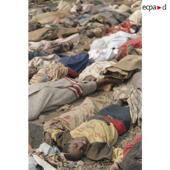 Cadavres alignés sur la route de Goma avant leur ramassage.