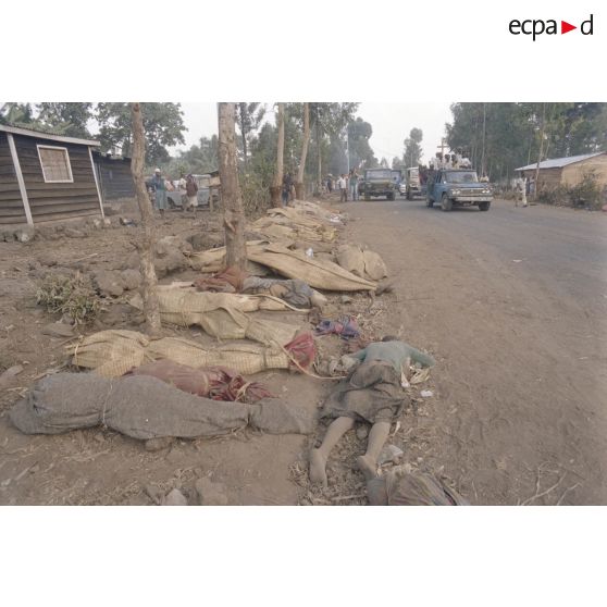 Cadavres abandonnés sur la route au poste-frontière de Goma-Gisenyi.