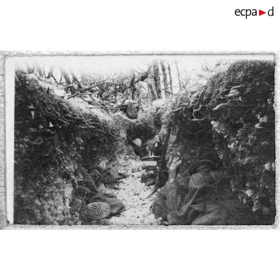Tranchées du bois Nawé. [légende d'origine]