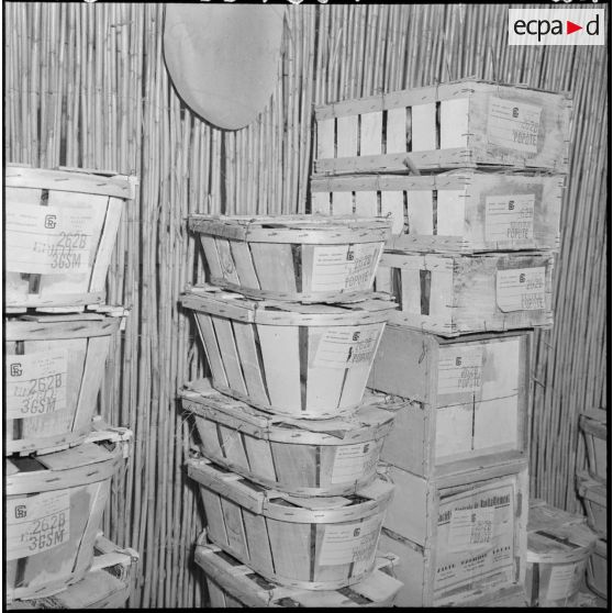 Des caisses de stockage alimentaire entreposées dans l'entrepôt de la Société générale de ravitaillement pour Edjeleh, village de la commune d'In Amenas.