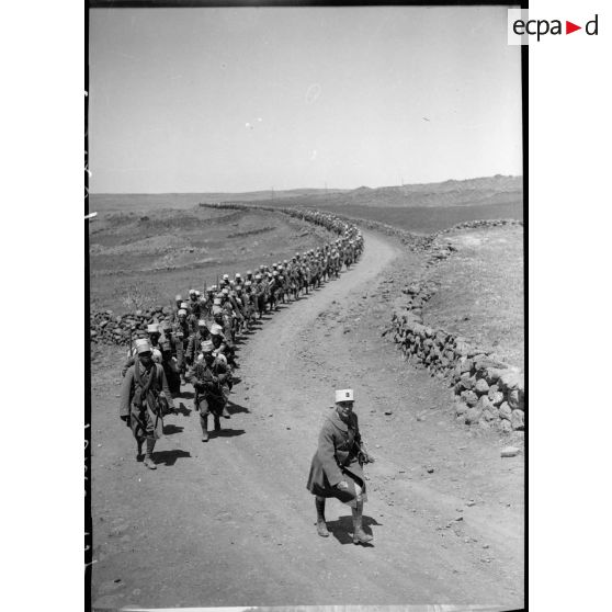 Une colonne du 17e RTS marche sur une piste du Djebel Druze.
