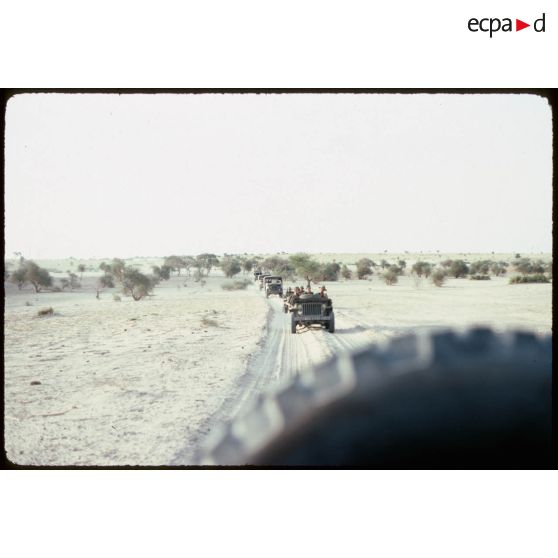 Jeeps sur la piste. [légende d'origine]<br>