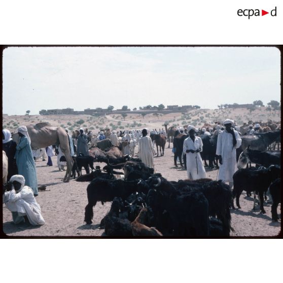 Le marché de Moussoro. [légende d'origine]<br>