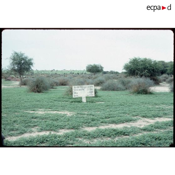 Poteau indicateur. [légende d'origine]<br>