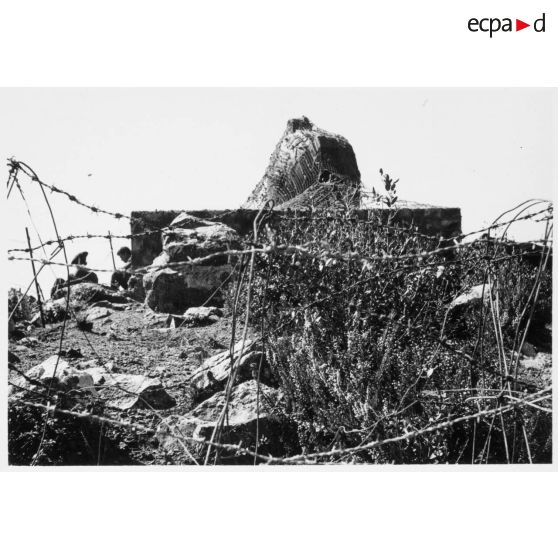 Phare de la côte 263. [légende d'origine]<br>