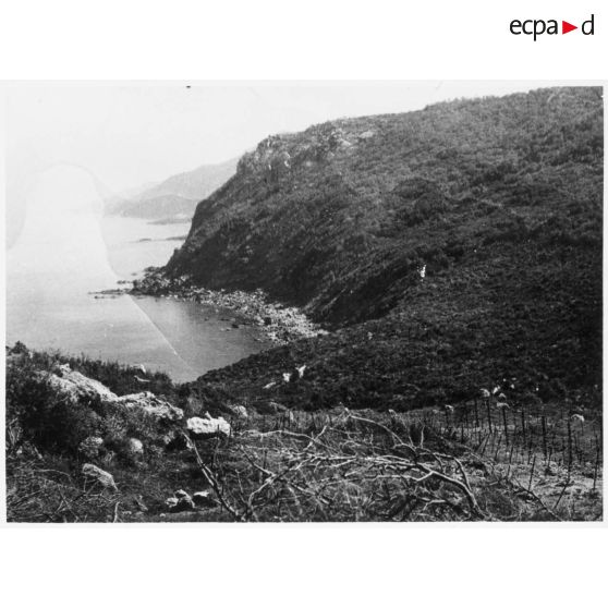 Cap Roux (à l'est, l'Algérie est séparée de la Tunisie par une ligne qui commence au Cap Roux). [légende d'origine]<br>