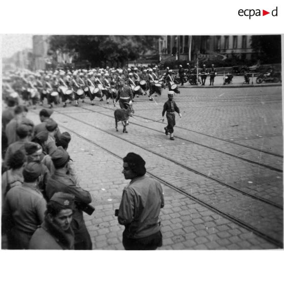 Stuttgart : prise de la ville et défilé. [légende d'origine]