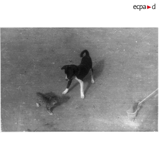 Entraînement en Oranie. Août - décembre 1943. [légende d'origine]