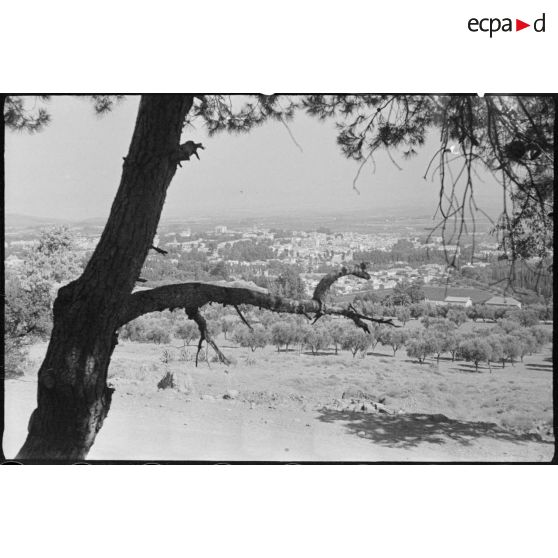Point de vue panoramique sur Tlemcen.