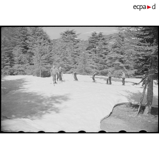 Vue d'ensemble de la patrouille de l'école de ski de Chréa qui avance dans la fôret.