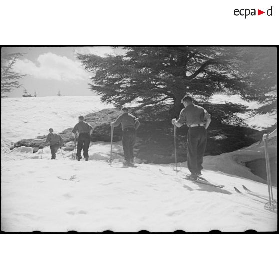 Vue de la patrouille de l'école de ski de Chrea qui avance à skis, dans la forêt.