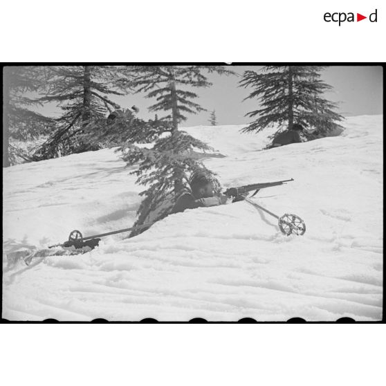 En fôret, dissimulés dans la neige, sous les arbres, les patrouilleurs de l'école de ski de Chrea participent à un exercice de tir.