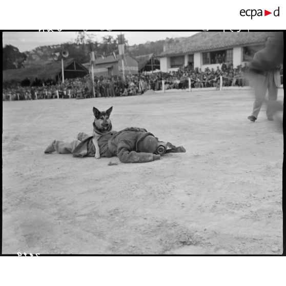 Journée récréative au profit des oeuvres sociales de la division territoriale d'Alger (DTA) au quartier Gueydon, à Alger.
