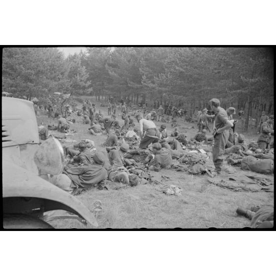 Les défenseurs de Vilnius après l'évacuation de la ville par les forces allemandes.