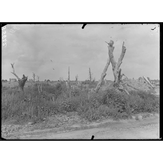 Quennevières (Oise). Etat de la ferme, vue prise de la route de Tracy-le-Mont. [légende d'origine]