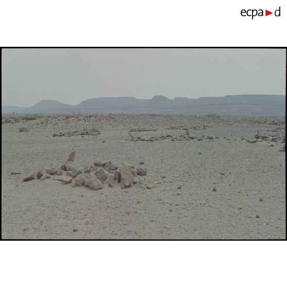 Cadavre de dromadaire en bord de piste. [légende d'origine]<br>